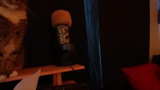 lilypixel