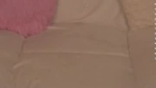 my_little_pollly