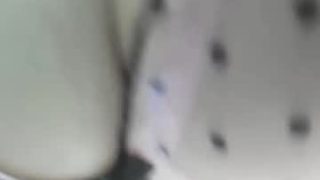 xdreamangel