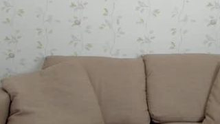 brittany_bird