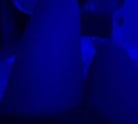 Angel_Yelee