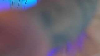 taniiga