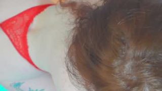 niilaa